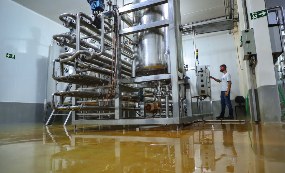 Há cerca de cinco anos a Garoto entrou no mercado de sucos naturais e tem visto os negócios prosperarem. Hoje, o suco Viva Feliz é encontrado nas gôndolas de todo o Sul, Sudeste e parte do Centro-Oeste do Brasil.