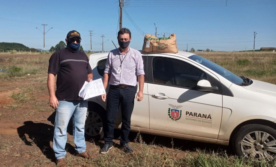 Pequenos agricultores de Rio Bonito do Iguaçu receberam nesta sexta-feira (11) 10.460 quilos de sementes de milho e feijão. Foram beneficiados produtores das comunidades Nova Aliança, Alto Água Morna e Alto Alegre.
Foto: SEAB