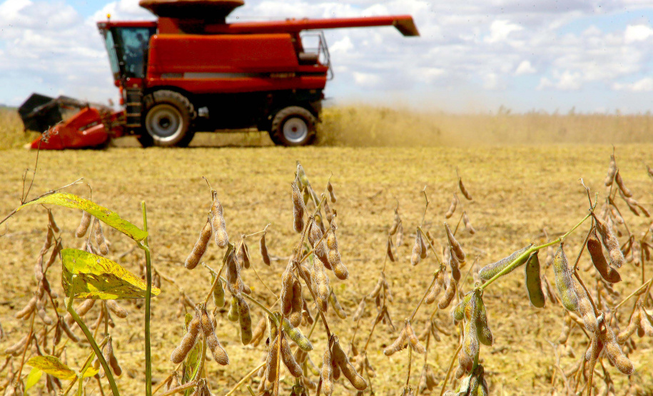 Agropecuária foi base de sustentação da balança comercial.