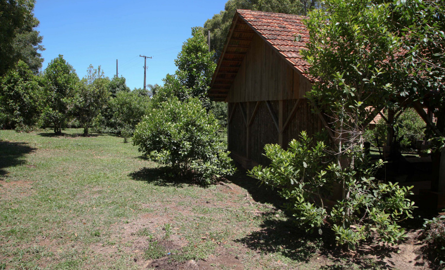 Ervateira Feito no Paraná Empresa Baronesa Ervateira. Foto: Ari Dias/AEN