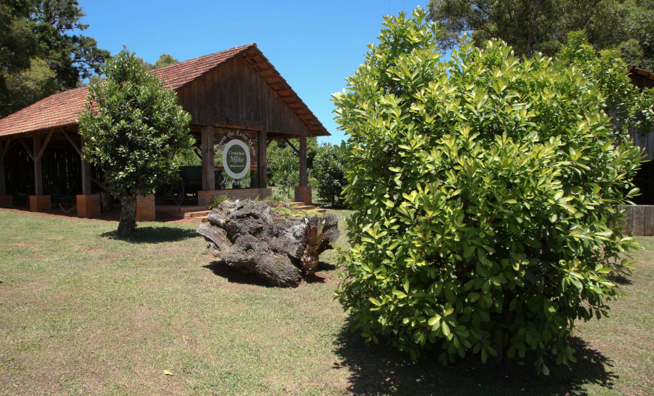 Ervateira Feito no Paraná Empresa Baronesa Ervateira. Foto: Ari Dias/AEN
