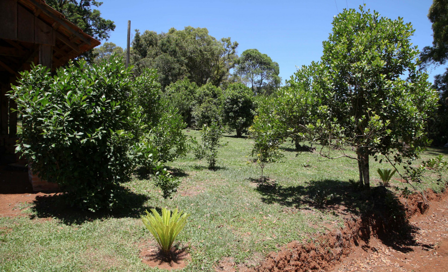 Ervateira Feito no Paraná Empresa Baronesa Ervateira. Foto: Ari Dias/AEN