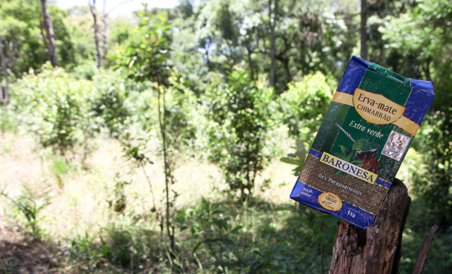 Ervateira Feito no Paraná Empresa Baronesa Ervateira. Foto: Ari Dias/AEN