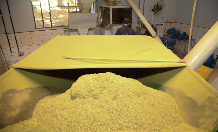 Ervateira Feito no Paraná Empresa Baronesa Ervateira. Foto: Ari Dias/AEN