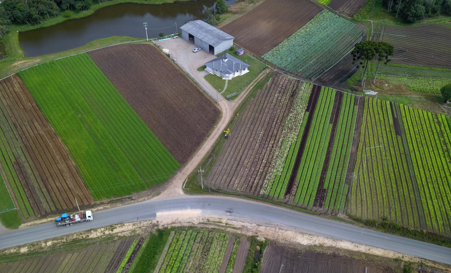 Foto: José Fernando Ogura/AEN