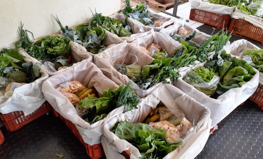 Programas garantem comercialização e renda aos pequenos agricultores. Foto:IDR