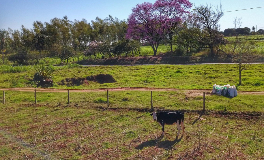 Regularização fundiária alcança mais de 1,2 mil pequenos produtores. Foto: IAT