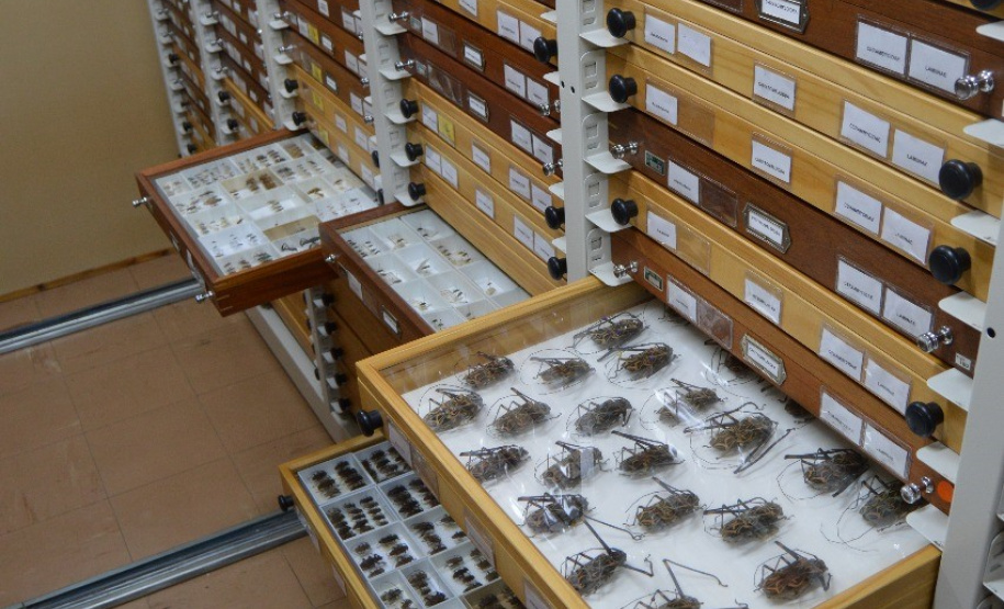 Nova metodologia aumenta assertividade dos investimentos em inovação. Foto: Fundação Araucária