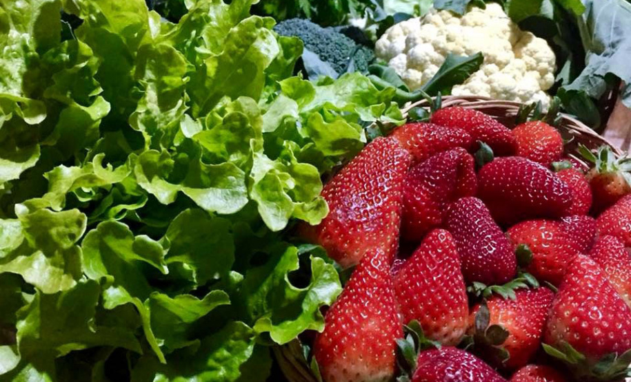 Nações Unidas pretendem usar 2021 como marco na consciência sobre o papel que frutas, vegetais e legumes exercem na nutrição humana, segurança alimentar e saúde, além de contribuir para redução de desperdício.