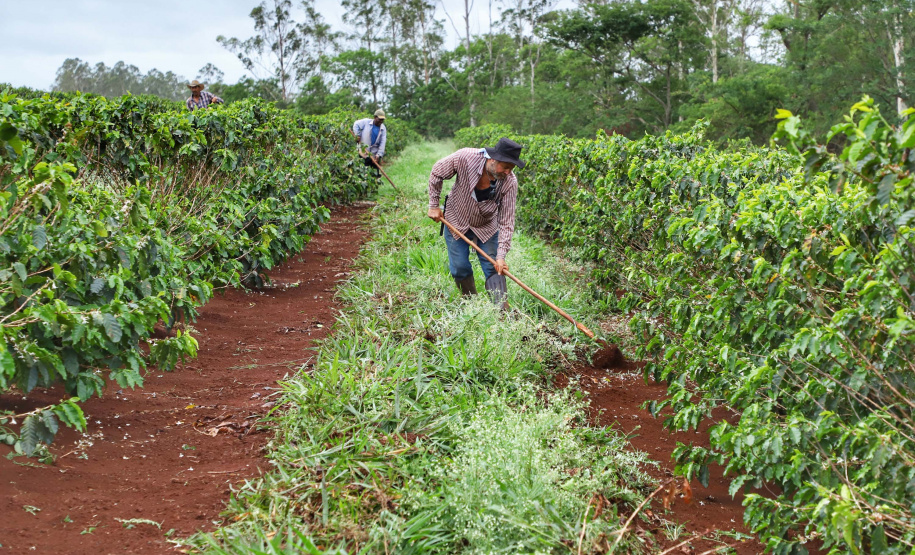 Localizada em Santa Mariana, a fazenda é gerida por Cornélia Gamerschlag e seu marido, Norbert
