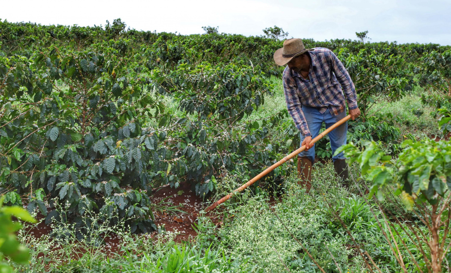 Localizada em Santa Mariana, a fazenda é gerida por Cornélia Gamerschlag e seu marido, Norbert