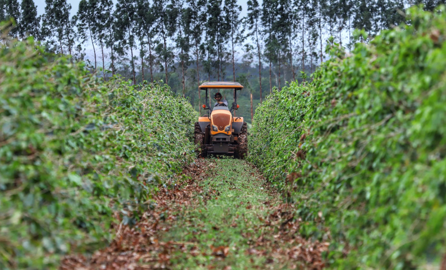 Localizada em Santa Mariana, a fazenda é gerida por Cornélia Gamerschlag e seu marido, Norbert