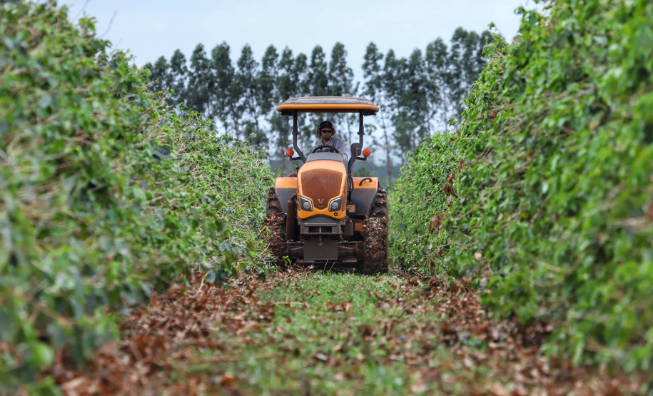 Localizada em Santa Mariana, a fazenda é gerida por Cornélia Gamerschlag e seu marido, Norbert
