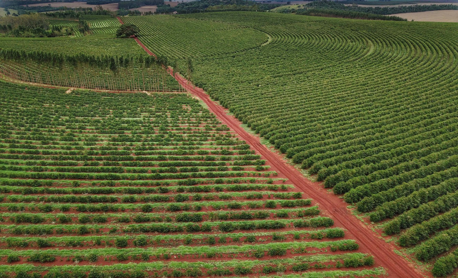 Localizada em Santa Mariana, a fazenda é gerida por Cornélia Gamerschlag e seu marido, Norbert