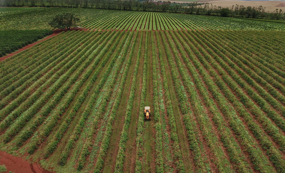 Localizada em Santa Mariana, a fazenda é gerida por Cornélia Gamerschlag e seu marido, Norbert