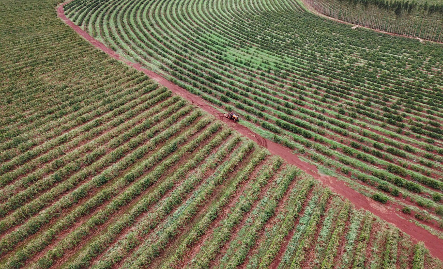 Localizada em Santa Mariana, a fazenda é gerida por Cornélia Gamerschlag e seu marido, Norbert