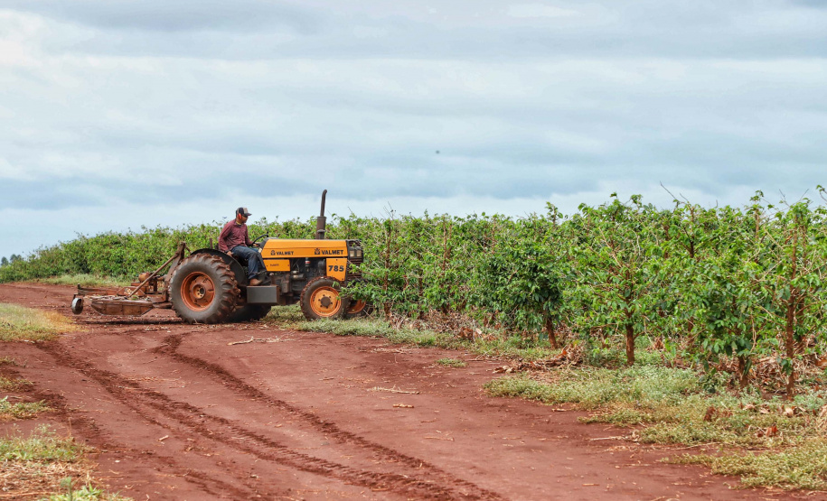Localizada em Santa Mariana, a fazenda é gerida por Cornélia Gamerschlag e seu marido, Norbert