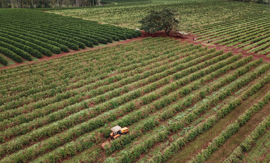 Localizada em Santa Mariana, a fazenda é gerida por Cornélia Gamerschlag e seu marido, Norbert