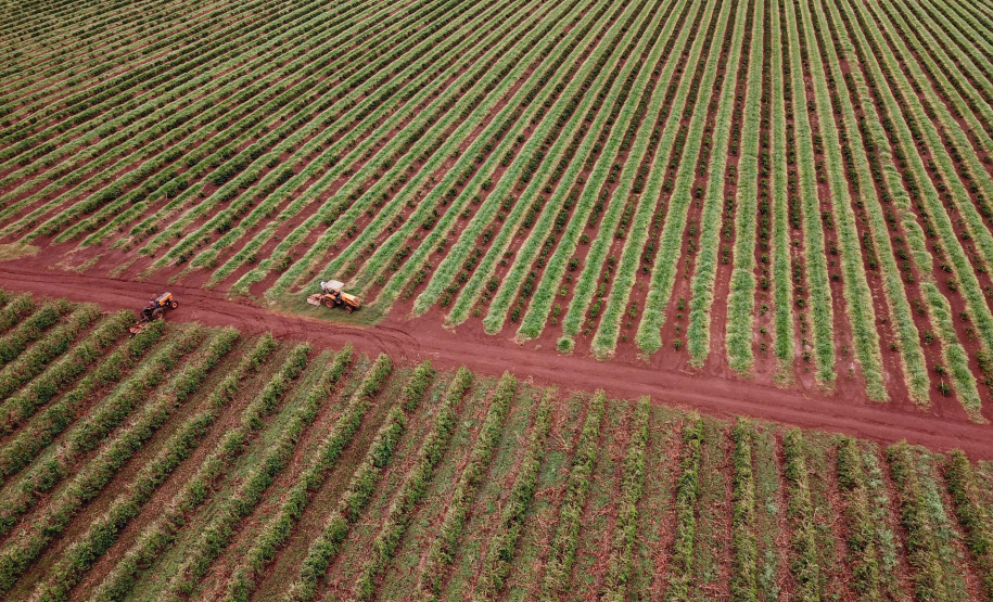 Localizada em Santa Mariana, a fazenda é gerida por Cornélia Gamerschlag e seu marido, Norbert