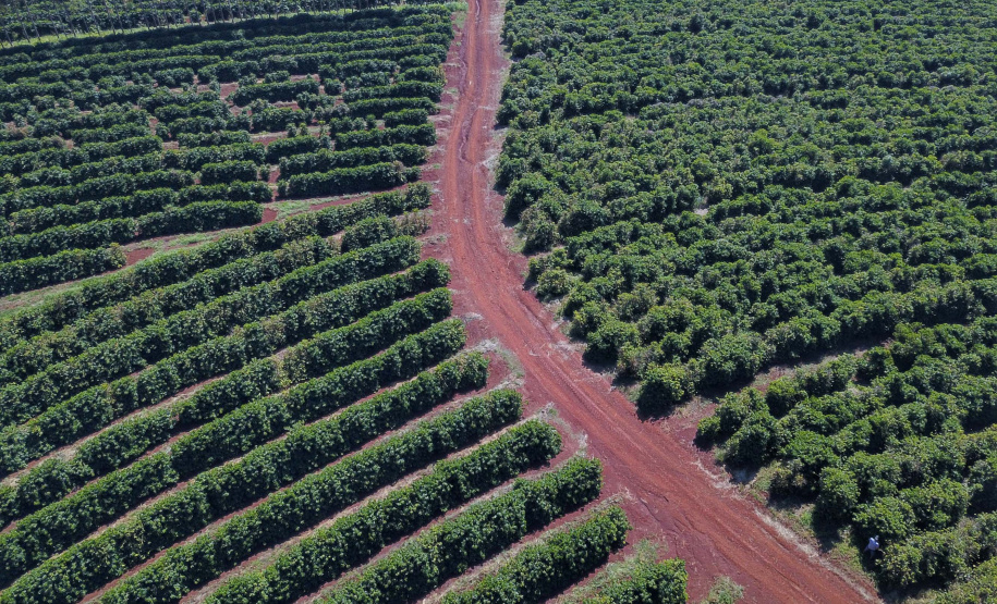 Localizada em Santa Mariana, a fazenda é gerida por Cornélia Gamerschlag e seu marido, Norbert