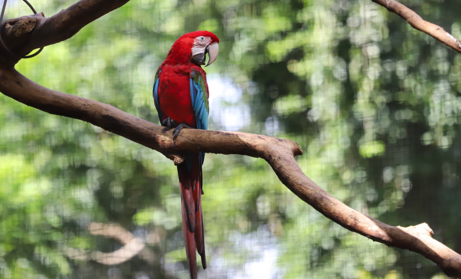 Atrações turísticas de Foz já atraíram 33,6 mil pessoas em 2021. Foto: José Fernando Ogura/AEN