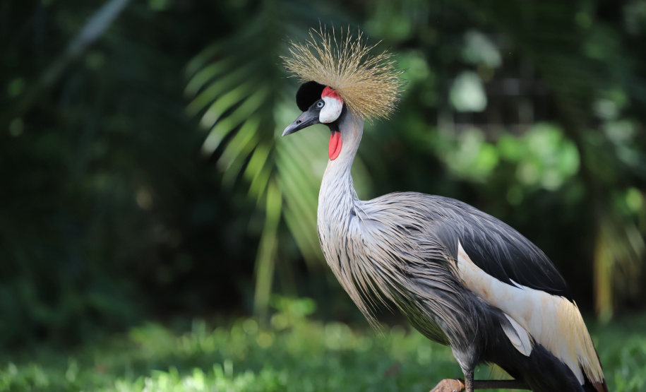 Atrações turísticas de Foz já atraíram 33,6 mil pessoas em 2021. Foto: José Fernando Ogura/AEN