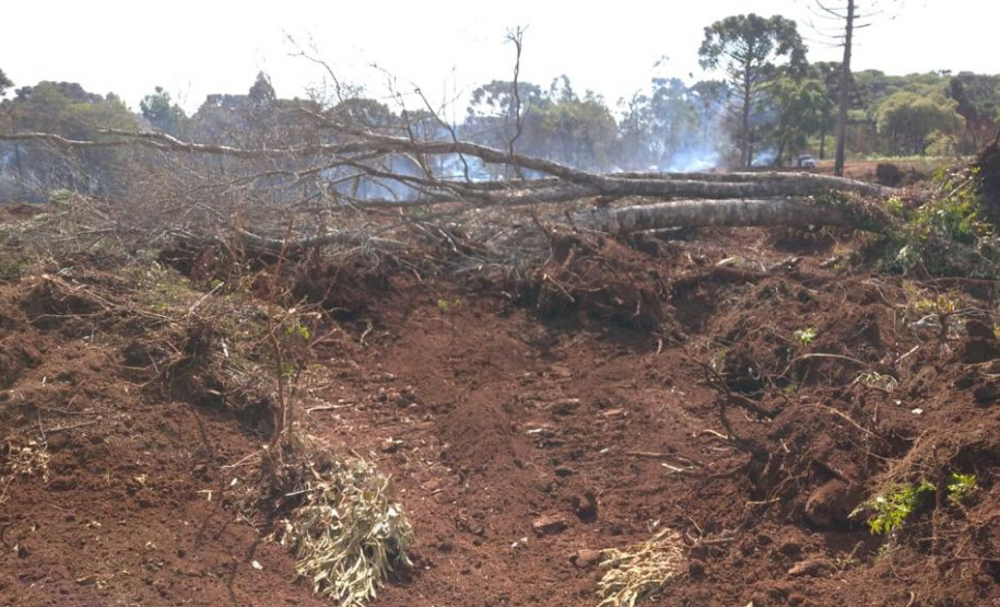 Desmatamento ilegal do Bioma da Mata Atlântica na Região Centro-Sul do Estado.
Foto: Divulgação Sedest/IAT