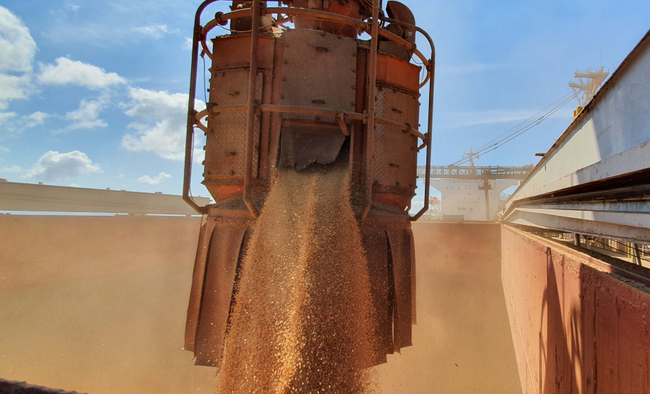 Porto prevê 11% de alta nas exportações de grãos no 1º trimestre.