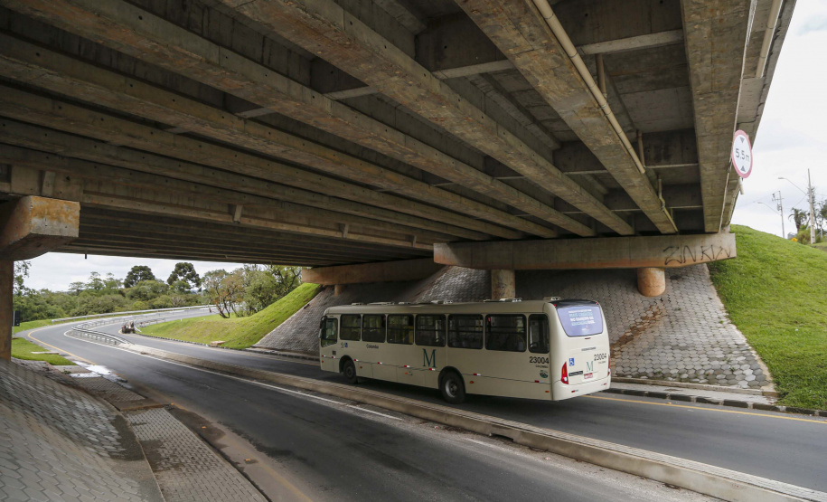 Governo entrega primeira fase da revitalização da Rodovia da Uva. Foto: Jonathan Campos/AEN