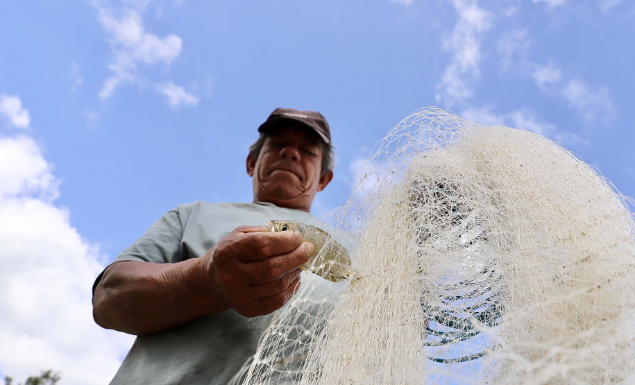 A pesca artesanal, que garante renda para cerca de 6 mil famílias no litoral paranaense, é tema da nova campanha de educação ambiental da Portos do Paraná. A empresa pública promove ações de comunicação e valorização da atividade, aproveitando o aumento no número de veranistas nas praias do Estado.