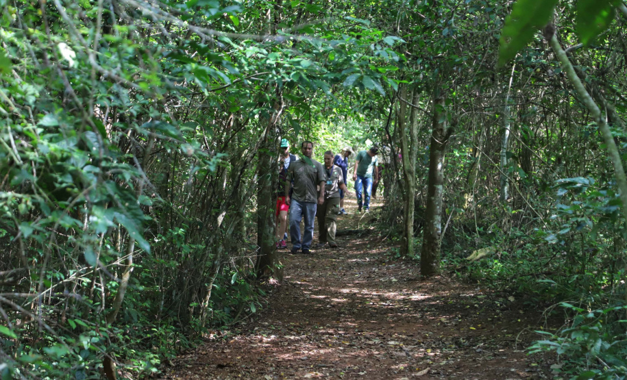 Capanema - Ilha do Sol - Parque Nacional Iguaçu Foto: José Fernando Ogura/AEN