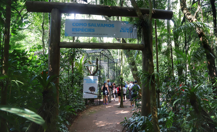04/2019 - Foz do Iguaçu - Parque das Aves. Foto: José Fernando Ogura/AEN