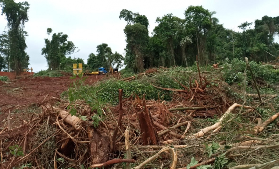 Uma fiscalização do Batalhão de Polícia Ambiental-Força Verde (BPAmb-FV) e do Instituto Água e Terra (IAT), órgão vinculado à Secretaria do Desenvolvimento Sustentável e Turismo (Sedest), flagrou a destruição de vegetação nativa no município de São José da Boa Vista, no Norte do Estado, no sábado (09). A ação resultou na prisão de nove pessoas, apreensão de seis máquinas e um total de R$ 252 mil em multas. - Foto: Divulgação SEDEST/IAT