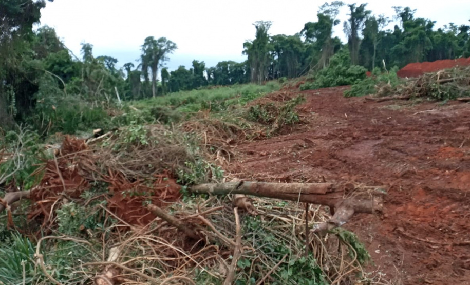 Uma fiscalização do Batalhão de Polícia Ambiental-Força Verde (BPAmb-FV) e do Instituto Água e Terra (IAT), órgão vinculado à Secretaria do Desenvolvimento Sustentável e Turismo (Sedest), flagrou a destruição de vegetação nativa no município de São José da Boa Vista, no Norte do Estado, no sábado (09). A ação resultou na prisão de nove pessoas, apreensão de seis máquinas e um total de R$ 252 mil em multas. - Foto: Divulgação SEDEST/IAT