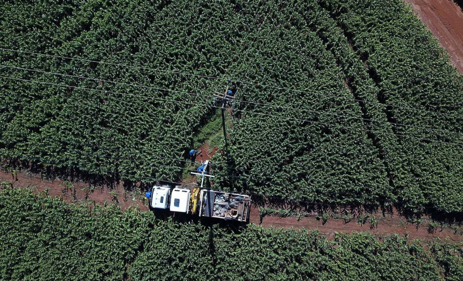 PR Trifásico concluiu 2,8 mil quilômetros de novas redes . Foto: Copel