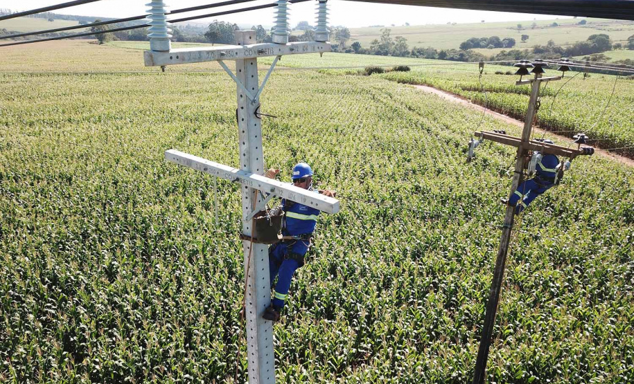 PR Trifásico concluiu 2,8 mil quilômetros de novas redes . Foto: Copel