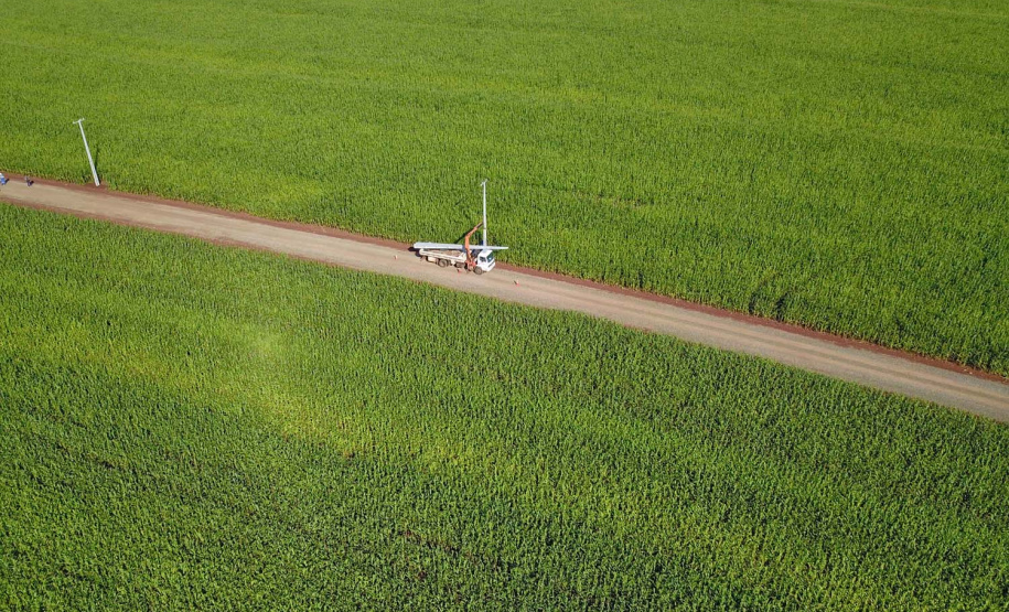 PR Trifásico concluiu 2,8 mil quilômetros de novas redes . Foto: José Fernando Ogura/AEN