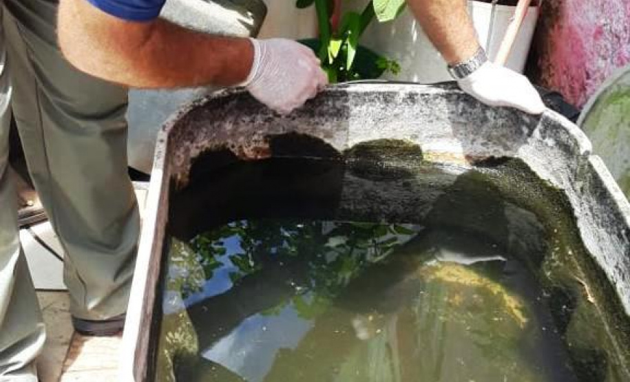 A Secretaria de Estado da Saúde divulgou nesta terça-feira (12) o primeiro boletim de 2021 com os dados do monitoramento da dengue no Estado. A Secretaria da Saúde realiza neste momento força-tarefa para atendimento a um surto no município de Sengés, na região dos Campos Gerais. As equipes detectaram e removeram de forma mecânica centenas de criadouros em recipientes usados para armazenar água como baldes, caixas d´água e tanques.  -  Foto: Divulgação SESA