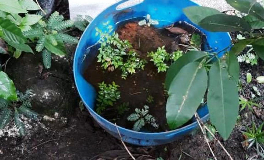 A Secretaria de Estado da Saúde divulgou nesta terça-feira (12) o primeiro boletim de 2021 com os dados do monitoramento da dengue no Estado. A Secretaria da Saúde realiza neste momento força-tarefa para atendimento a um surto no município de Sengés, na região dos Campos Gerais. As equipes detectaram e removeram de forma mecânica centenas de criadouros em recipientes usados para armazenar água como baldes, caixas d´água e tanques.  -  Foto: Divulgação SESA