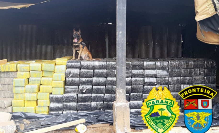 Com apoio do Estado, BPFron faz maior apreensão de drogas da história da unidade
. Foto: PMPR
