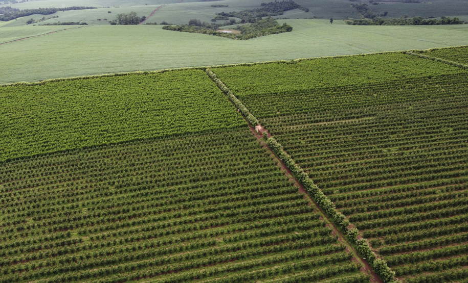 Governador Carlos Massa Ratinho Junior participou nesta segunda-feira (18) da inauguração da Villa Puree, em Santo Antônio do Paraíso. Foto: Jonathan Campos/AEN