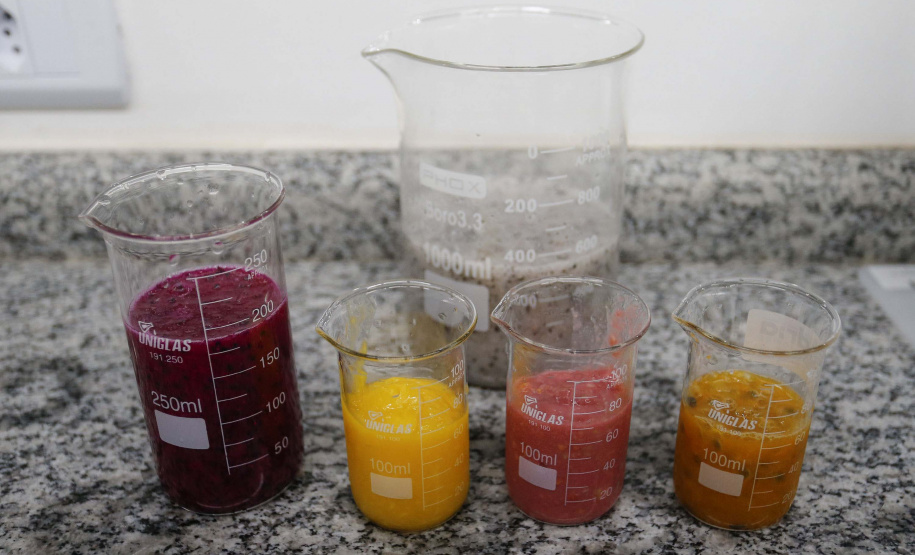 Governador Carlos Massa Ratinho Junior participou nesta segunda-feira (18) da inauguração da Villa Puree, em Santo Antônio do Paraíso. Foto: Jonathan Campos/AEN