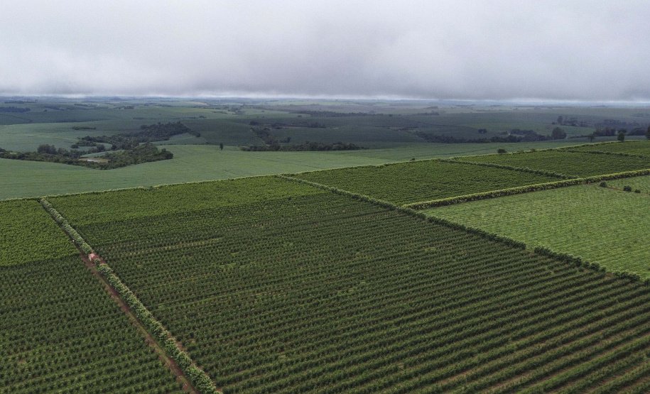 Governador Carlos Massa Ratinho Junior participou nesta segunda-feira (18) da inauguração da Villa Puree, em Santo Antônio do Paraíso. Foto: Jonathan Campos/AEN