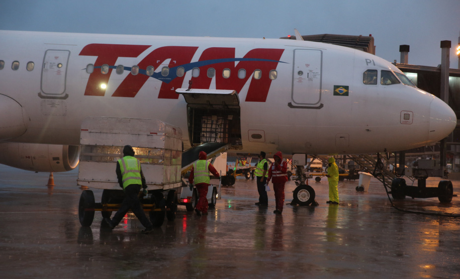 Chegada das vacinas contra a Covid-19 no Aeroporto Afonso Pena em Curitiba-  18/01/2021 - Foto: Geraldo Bubniak/AEN