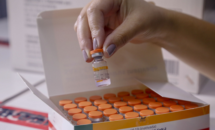 Governo começa a distribuir vacinas no Interior do Paraná.
Foto: Gilson Abreu/AEN
19.01.2021