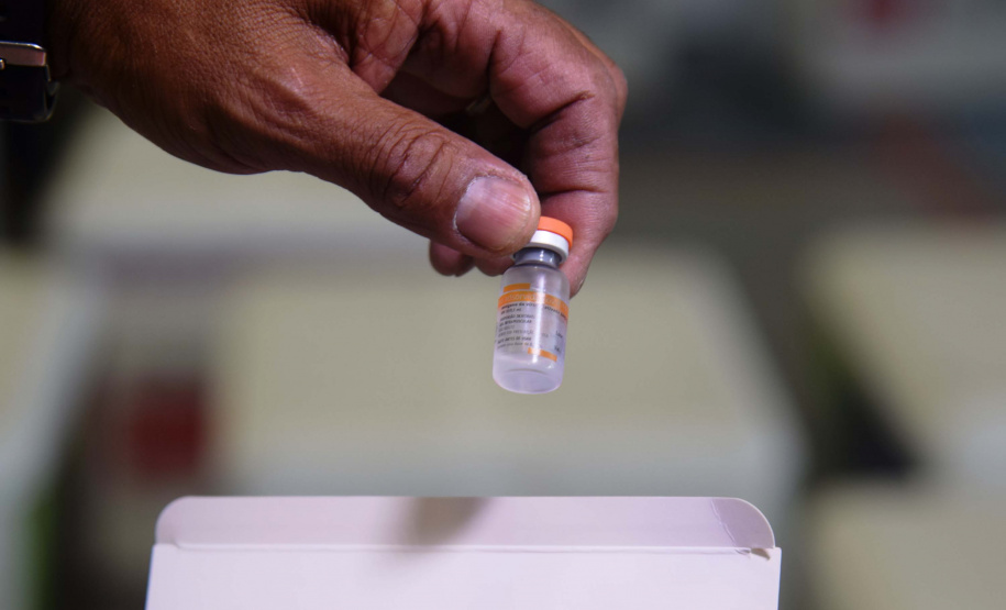 Agilidade das equipes da Saúde garante entrega a todos os municípios do Paraná.
Foto: Américo Antonio/SESA
19.01.2021