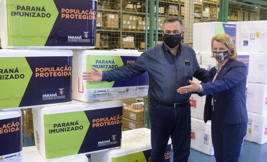 Agilidade das equipes da Saúde garante entrega a todos os municípios do Paraná.
Foto: Américo Antonio/SESA
19.01.2021