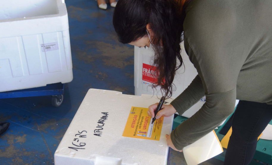 Agilidade das equipes da Saúde garante entrega a todos os municípios do Paraná.
Foto: Américo Antonio/SESA
19.01.2021