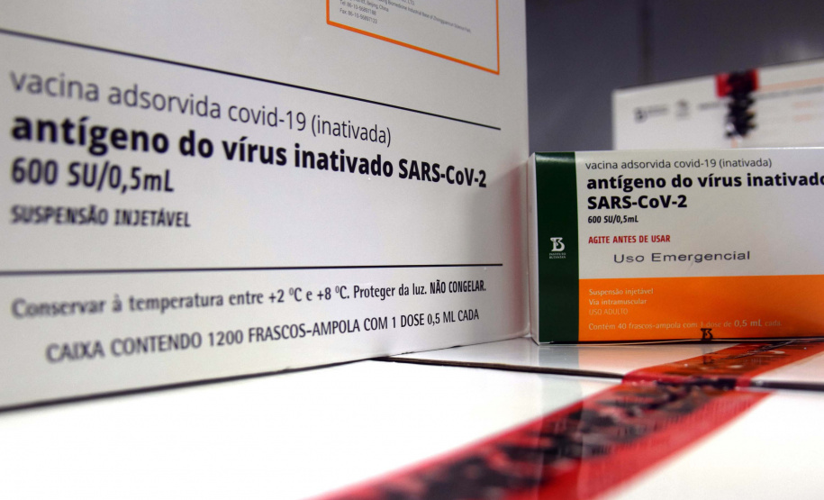 Agilidade das equipes da Saúde garante entrega a todos os municípios do Paraná.
Foto: Américo Antonio/SESA
19.01.2021