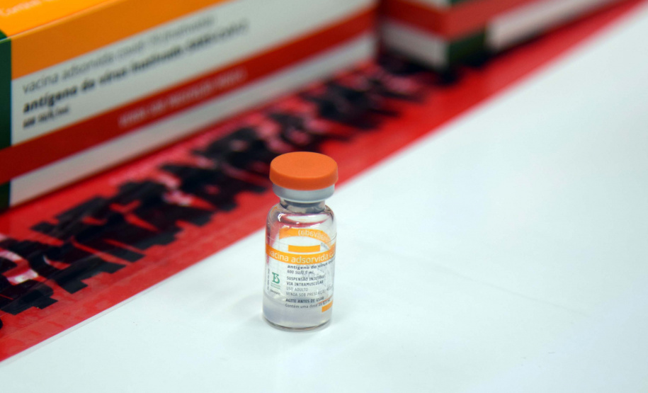 Agilidade das equipes da Saúde garante entrega a todos os municípios do Paraná.
Foto: Américo Antonio/SESA
19.01.2021